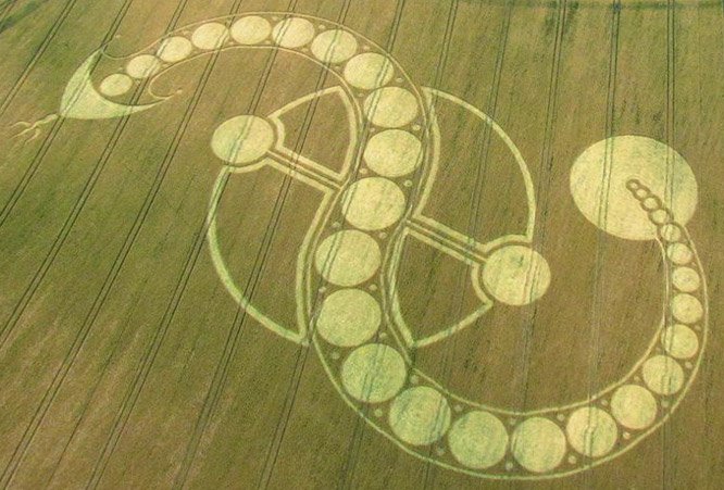 West Woodhay Reino Unido, 2011. Mostrando en el mismo país que Stonehenge, el círculo parece hacer referencia a una serpiente. ¿Es un indicio de la agenda reptil/draconiano? De cualquier manera, otro diseño interesante.