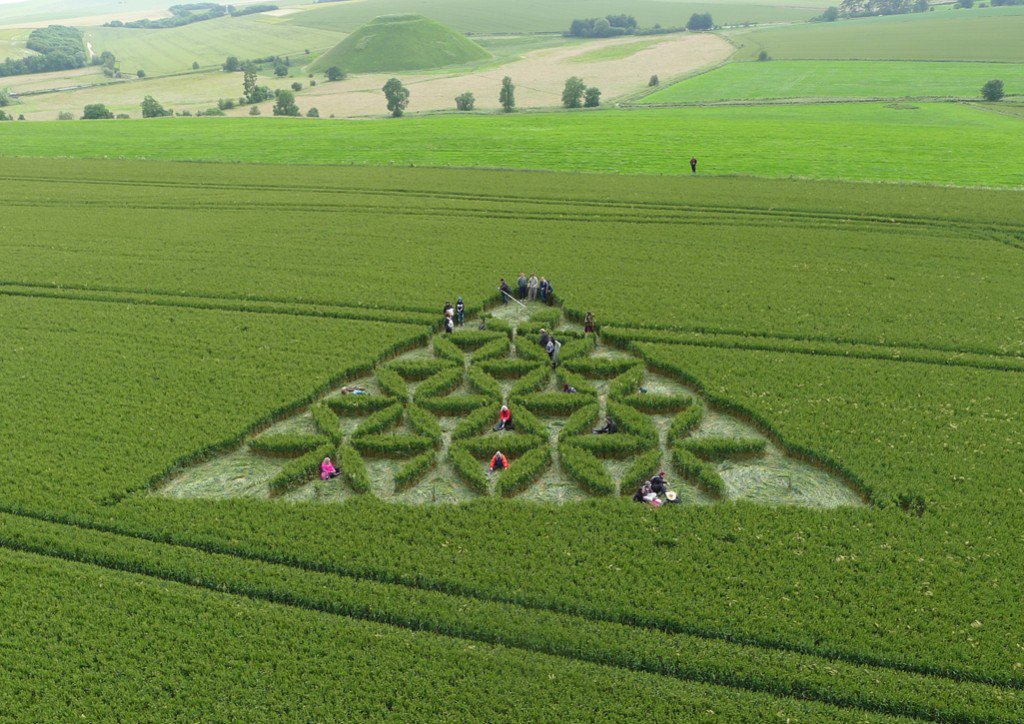 Waden Hill, Reino Unido 2012. Este círculo de la cosecha cuenta con la geometría sagrada y señala el monumento sagrado de Silbury Hill en la distancia.