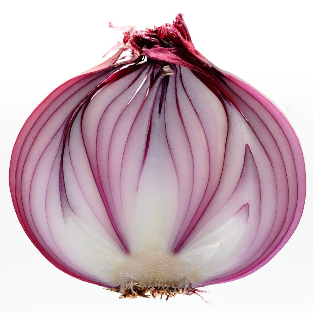 onion1