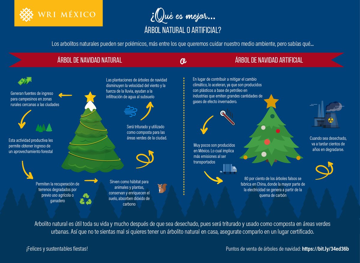Vaya dilema: ¿Cuál árbol de Navidad contamina más, de plástico o natural? –  El Financiero